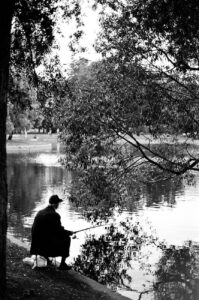 man fishing near tree